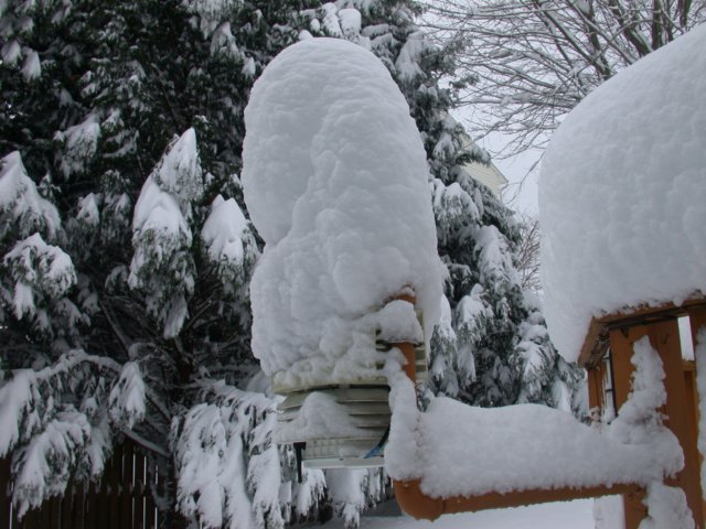 photo8.jpg